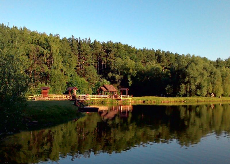 Беседка — фото 3
